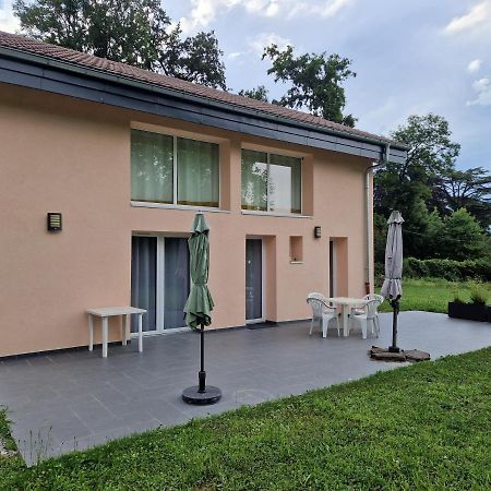 Le Petit Atelier Villa Excénevex Exteriör bild